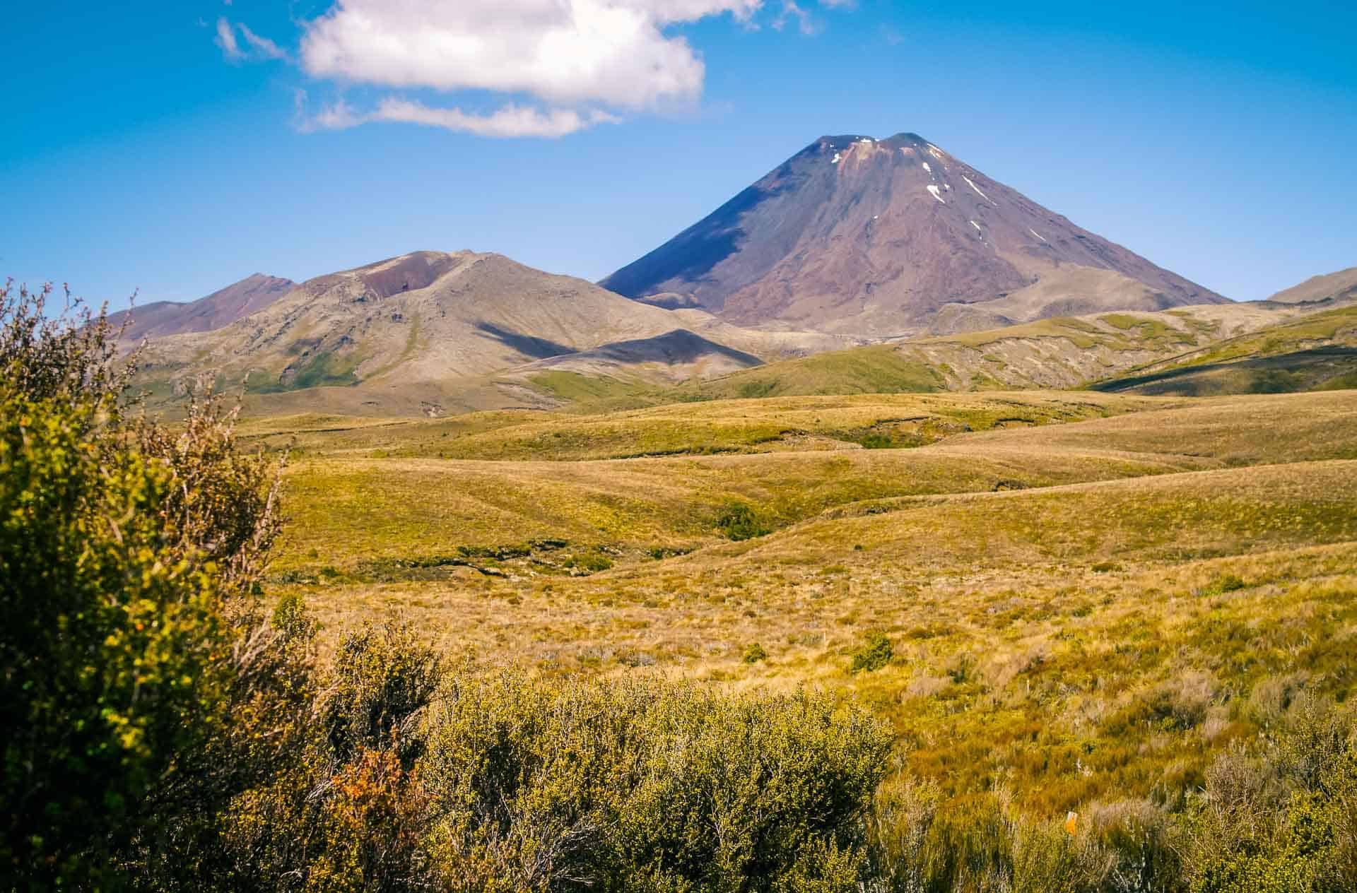 My Reid's Farm Experience Lake Taupo, New Zealand